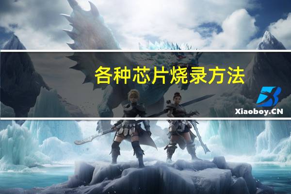 各种芯片烧录方法