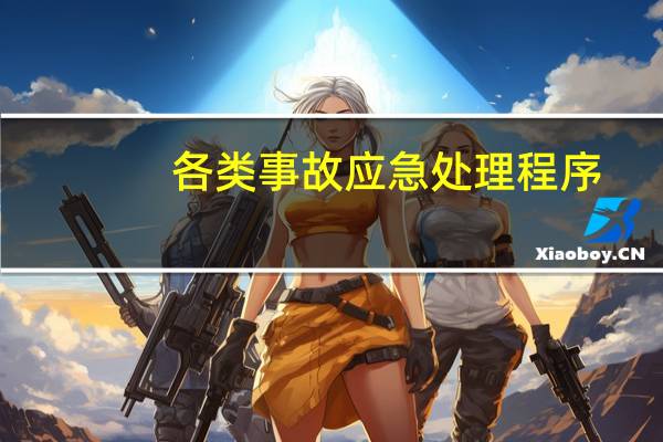 各类事故应急处理程序