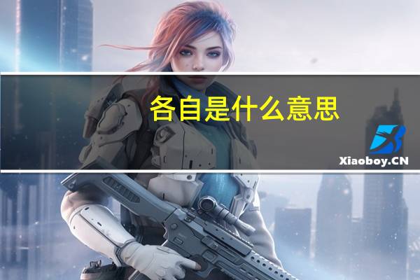 各自是什么意思