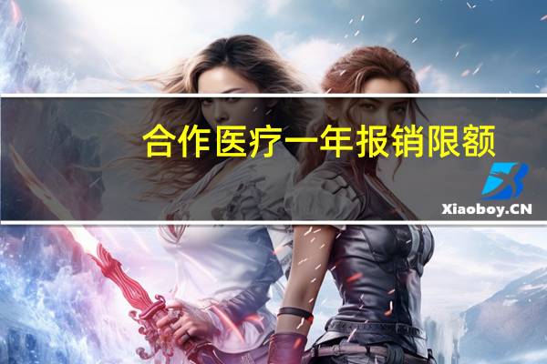 合作医疗一年报销限额