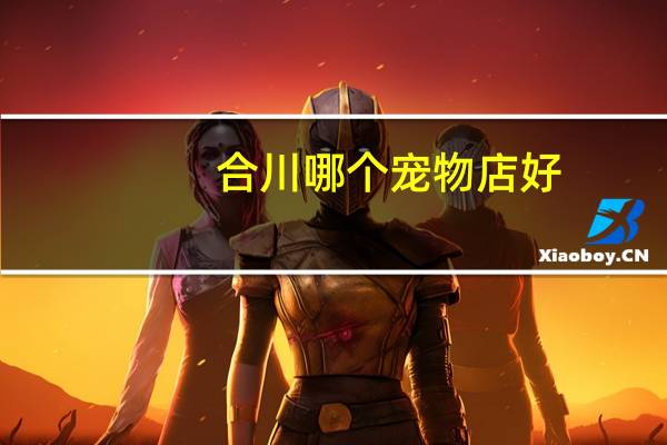合川哪个宠物店好