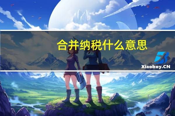 合并纳税什么意思