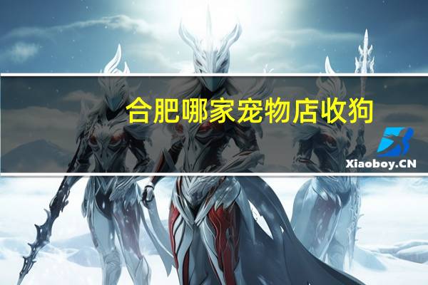 合肥哪家宠物店收狗