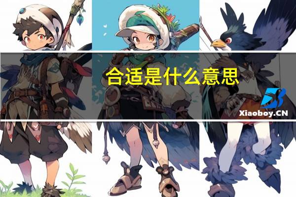 合适是什么意思