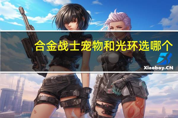 合金战士宠物和光环选哪个