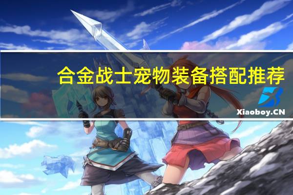 合金战士宠物装备搭配推荐