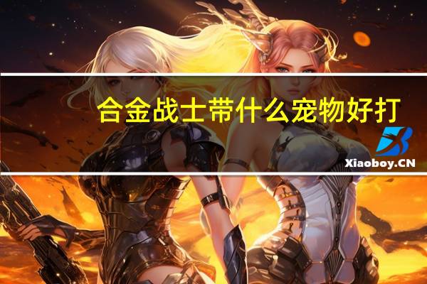 合金战士带什么宠物好打