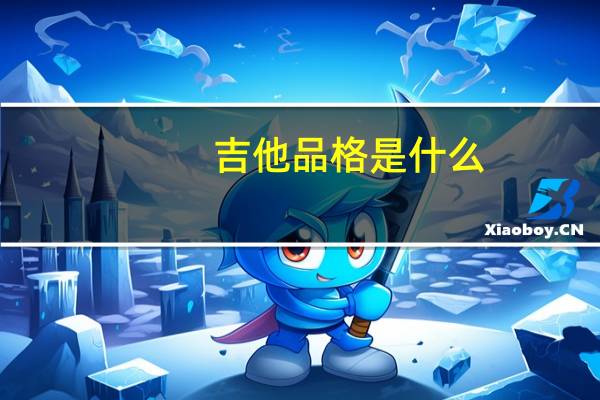 吉他品格是什么
