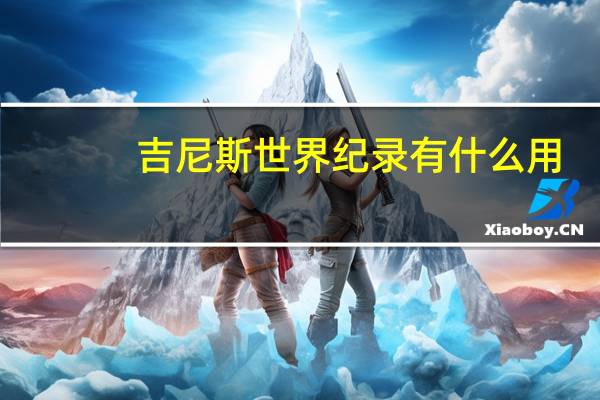 吉尼斯世界纪录有什么用