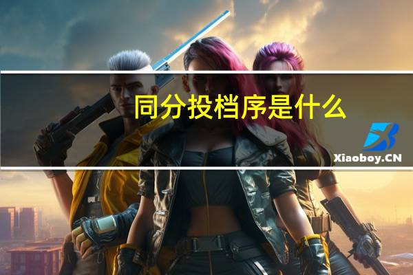 同分投档序是什么