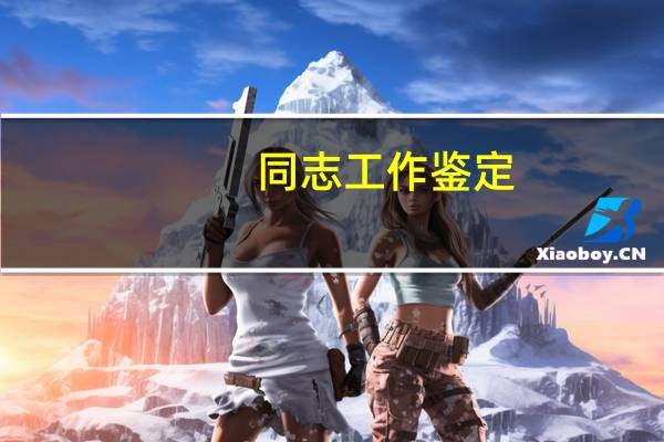 同志工作鉴定