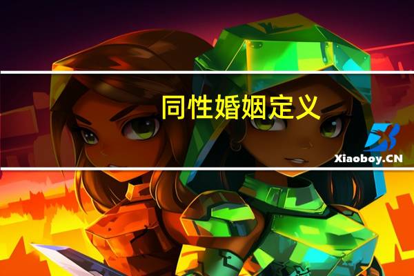 同性婚姻定义
