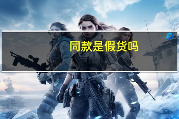 同款是假货吗