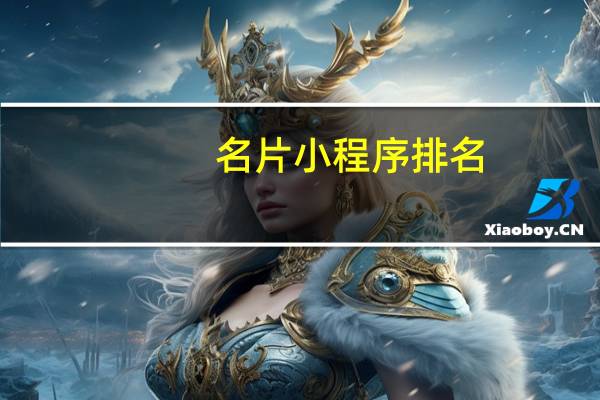 名片小程序排名
