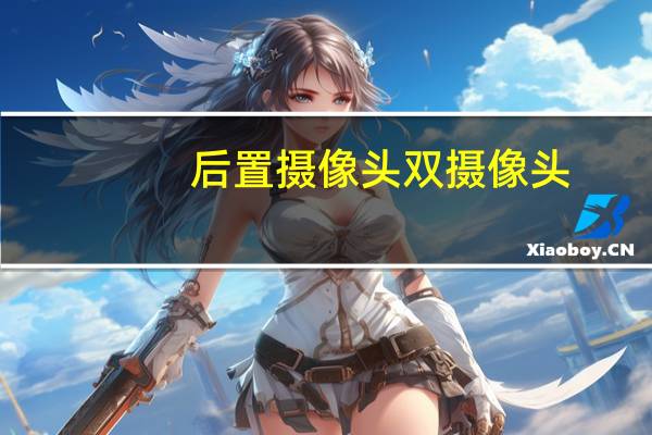 后置摄像头双摄像头