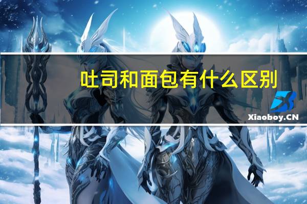 吐司和面包有什么区别