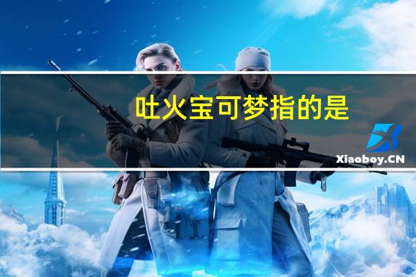 吐火宝可梦指的是