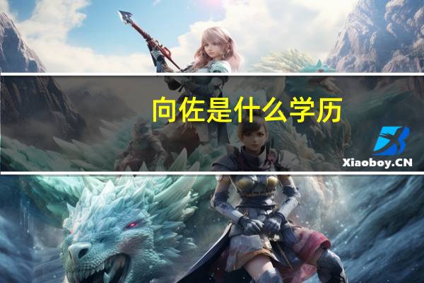 向佐是什么学历