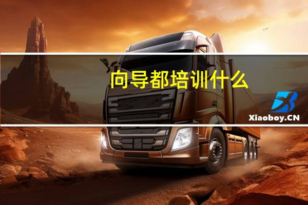 向导都培训什么