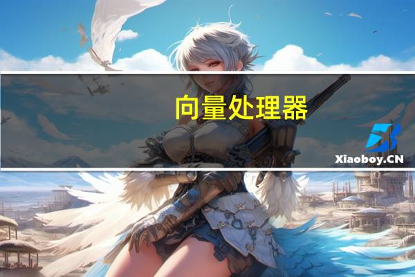 向量处理器