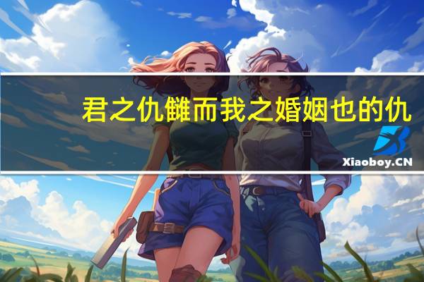 君之仇雠而我之婚姻也的仇