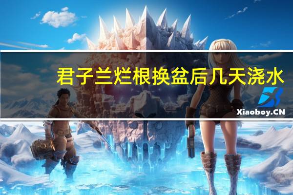 君子兰烂根换盆后几天浇水