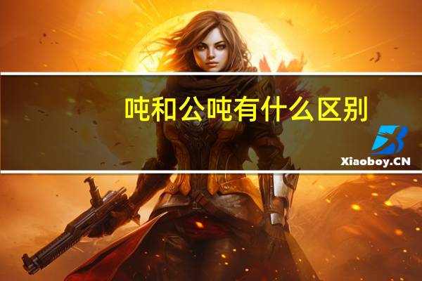 吨和公吨有什么区别