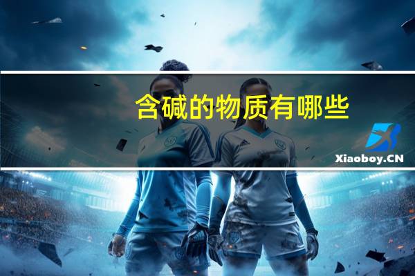 含碱的物质有哪些