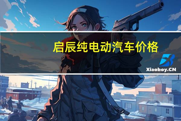 启辰纯电动汽车价格