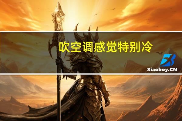 吹空调感觉特别冷