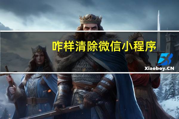 咋样清除微信小程序