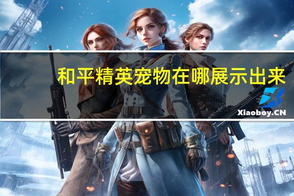 和平精英宠物在哪展示出来