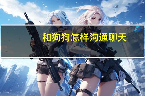 和狗狗怎样沟通聊天