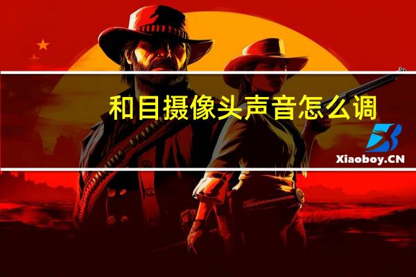 和目摄像头声音怎么调