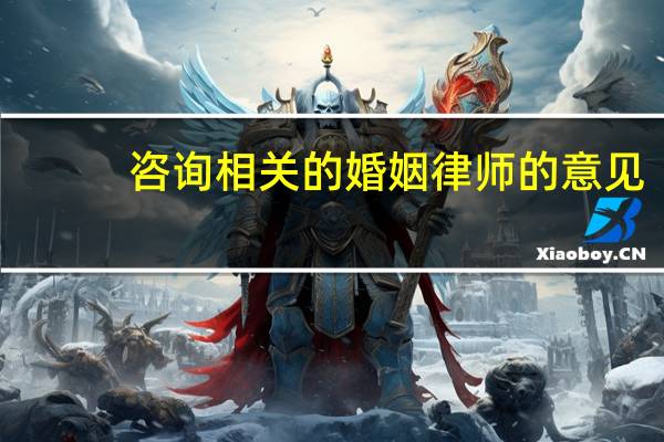 咨询相关的婚姻律师的意见