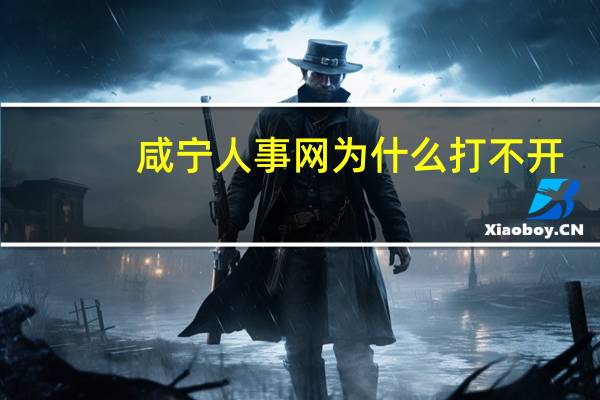 咸宁人事网为什么打不开