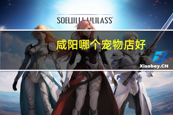 咸阳哪个宠物店好
