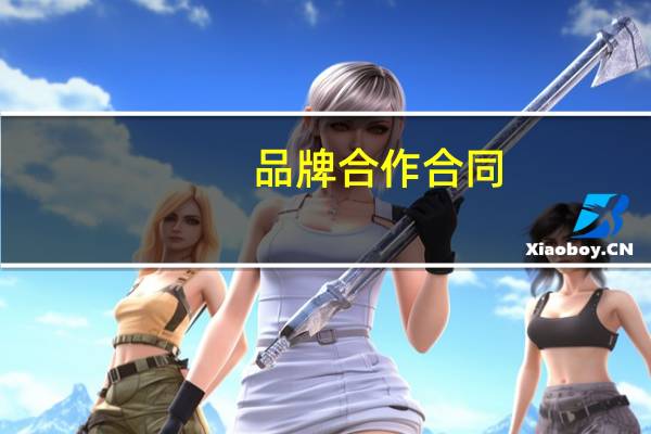品牌合作合同