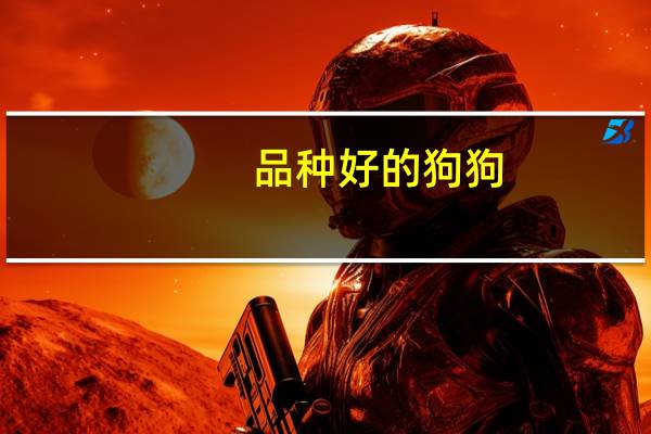 品种好的狗狗