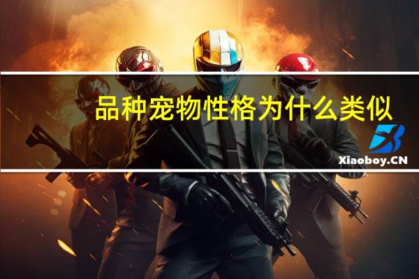 品种宠物性格为什么类似