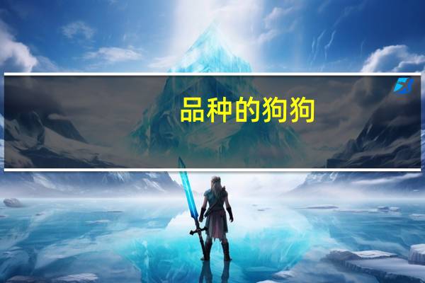 品种的狗狗