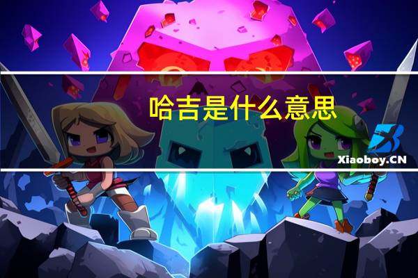 哈吉是什么意思