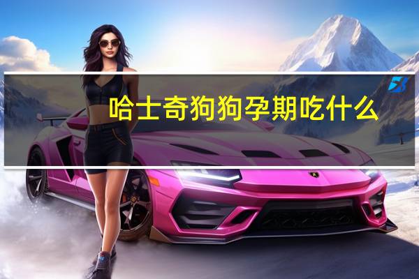 哈士奇狗狗孕期吃什么