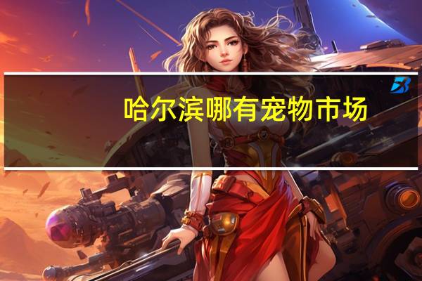 哈尔滨哪有宠物市场