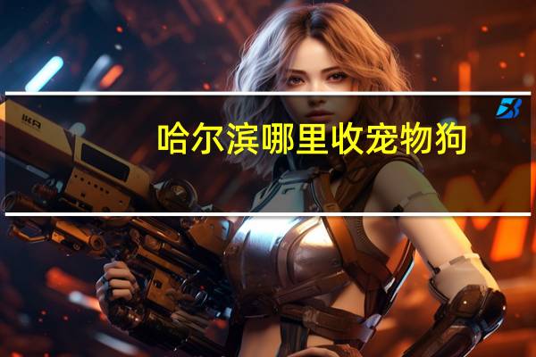 哈尔滨哪里收宠物狗