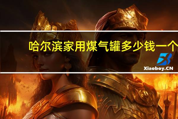 哈尔滨家用煤气罐多少钱一个
