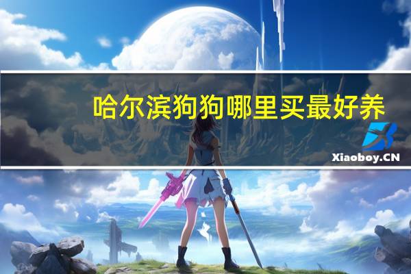 哈尔滨狗狗哪里买最好养