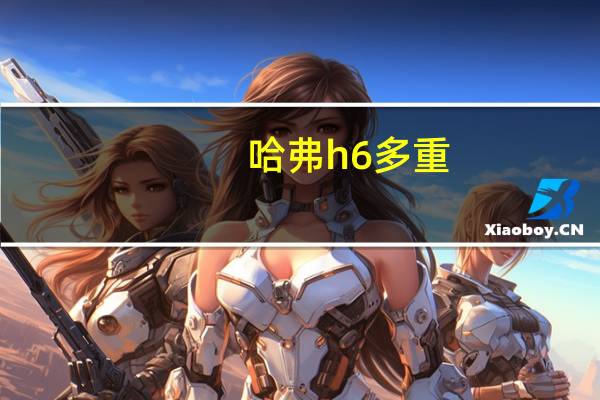 哈弗h6多重