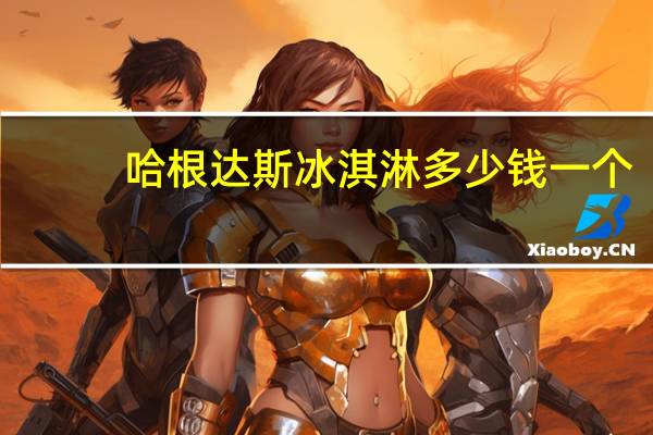 哈根达斯冰淇淋多少钱一个