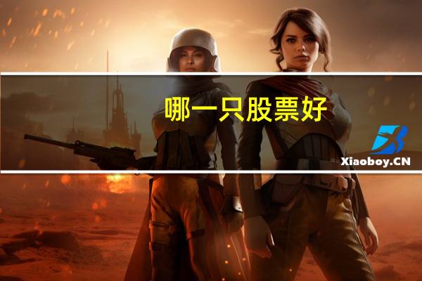 哪一只股票好
